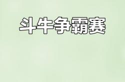 开云体育平台APP-竞技场上的较量，谁能称霸全场