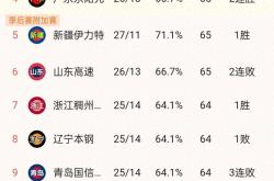 开云体育入口-关于队员表现出色，球队实现连胜领先积分榜的信息