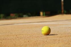 开云体育官方网站-德国网球队血洗欧洲网球队，德约科维奇打破历史纪录