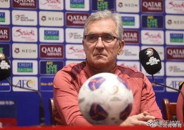 阿拉维斯主帅赛后受访，谈及球队表现及未来计划