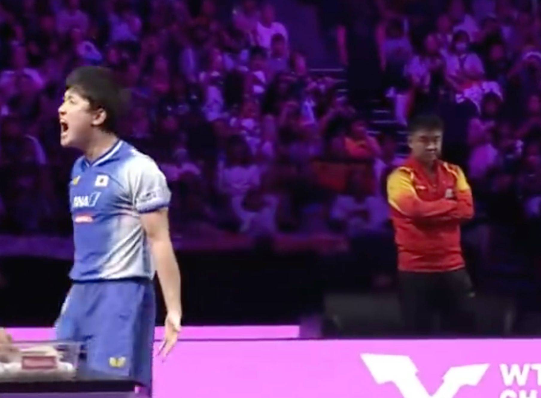 日本乒乓球队鏖战比利时乒乓球队，张本智和制霸全场的简单介绍