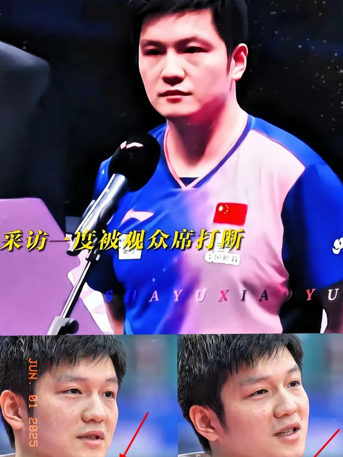 关于波兰乒乓球队力克德国乒乓球队，樊振东爆发神勇的信息