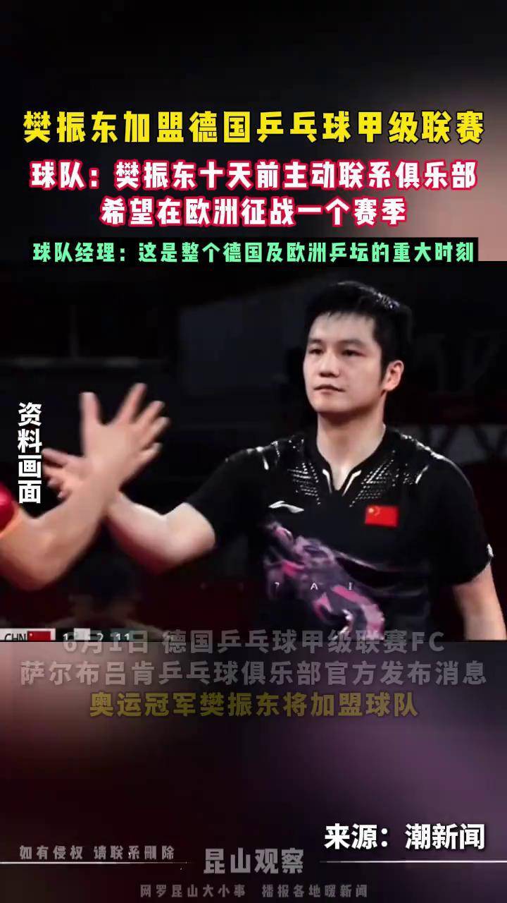 关于波兰乒乓球队力克德国乒乓球队，樊振东爆发神勇的信息